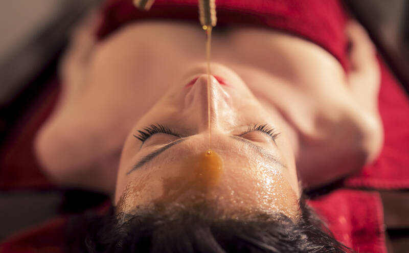 Regeneration | Rasayana im Einzelzimmer pro Person